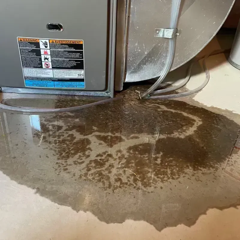 Appliance Leak Cleanup in Hollins, VA